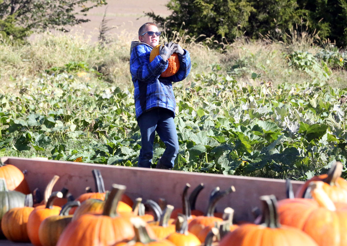 St Joseph Pumpkin Patch (8).jpg